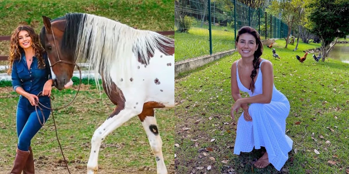 Lago, criação de cavalos e piscina a mansão de Paula Fernandes é a mais absurda do país - Foto Reprodução 