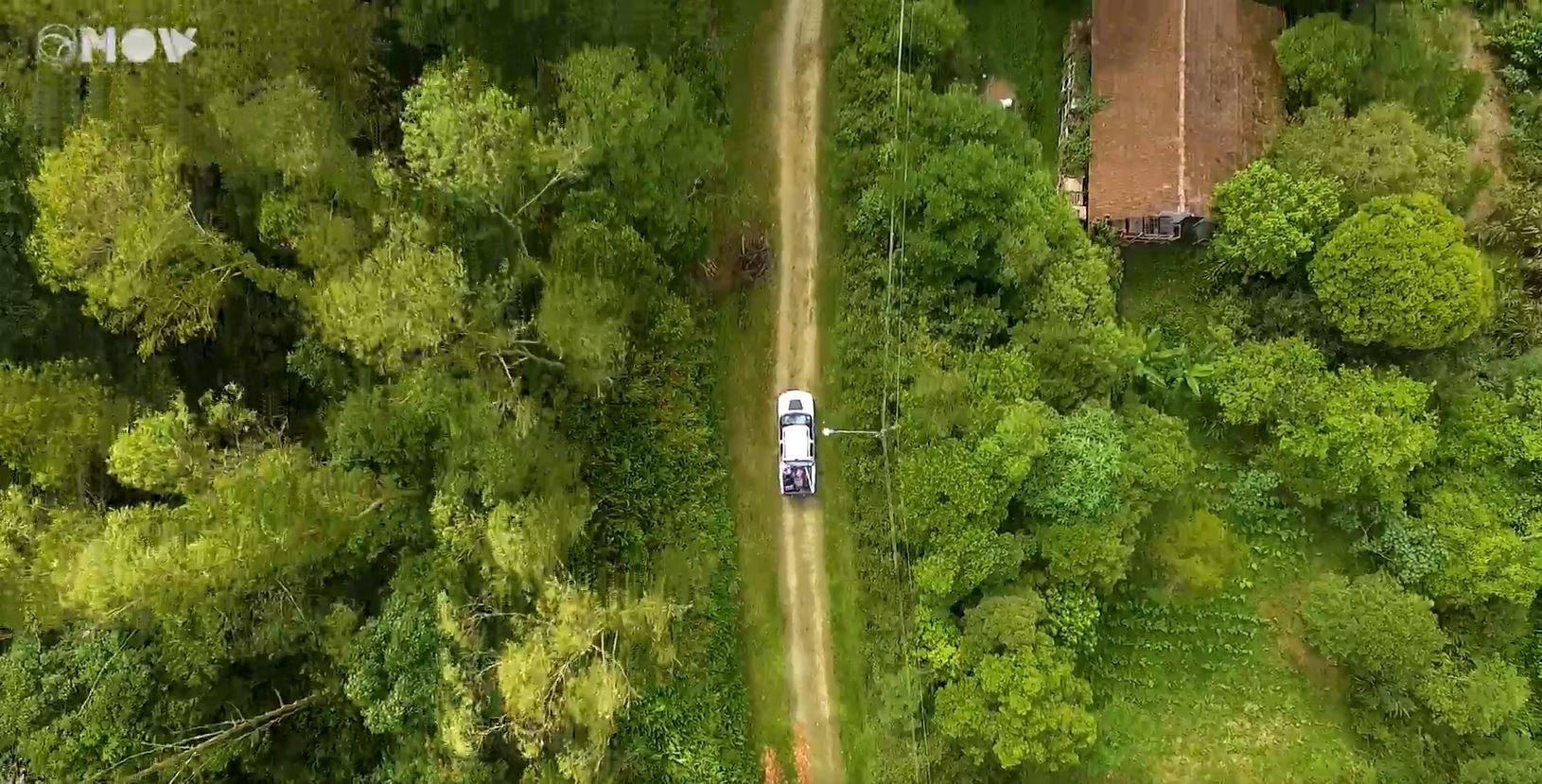 Mais de 1 milhão de metros quadrados Luisa Mell comprou floresta particular e hoje vive em santuário - Foto Reprodução