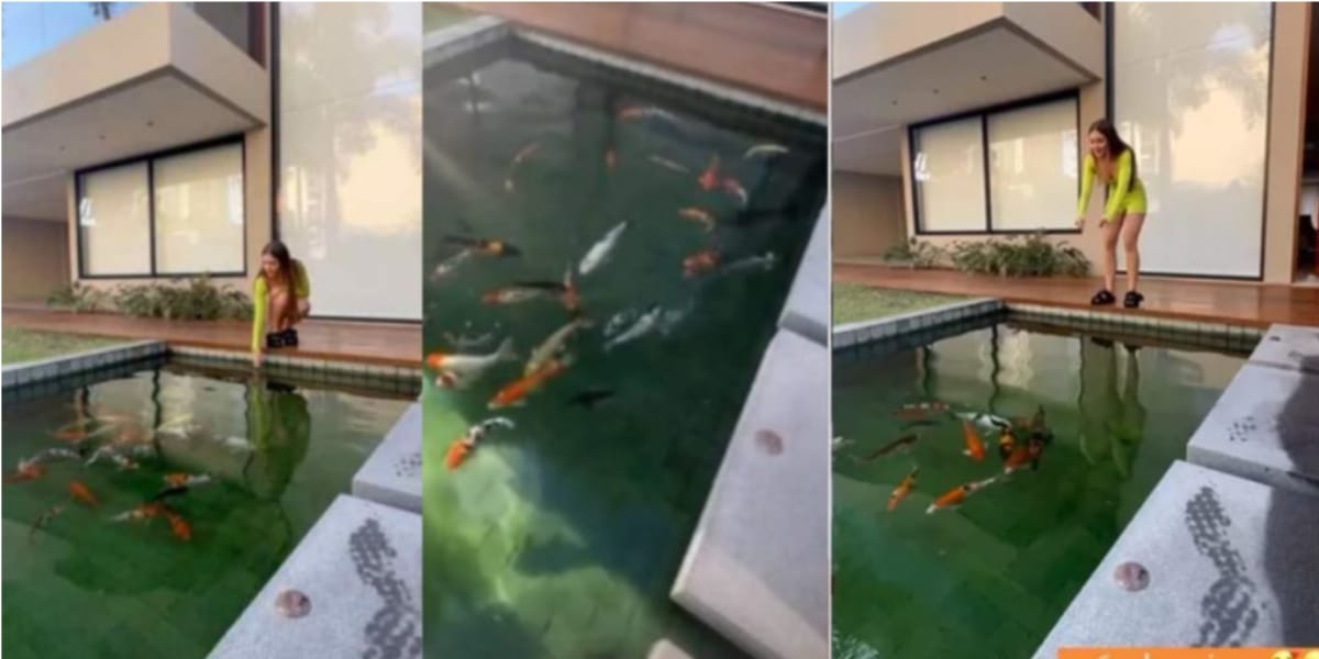 A entrada da mansão de Jade Picont tem um pequeno lago com vários peixes (Reprodução: Youtube)