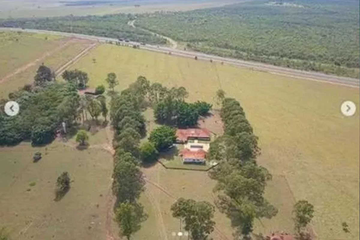 Fazenda de Aleksandro tem 40 mil hectares (Foto: Reprodução)