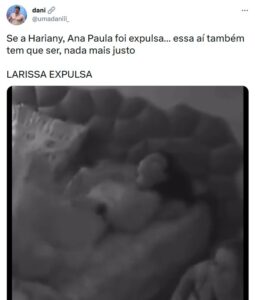 Internautas pedem expulsão de Larissa, mas outros defendem a sister (Foto: Reprodução / Twitter)