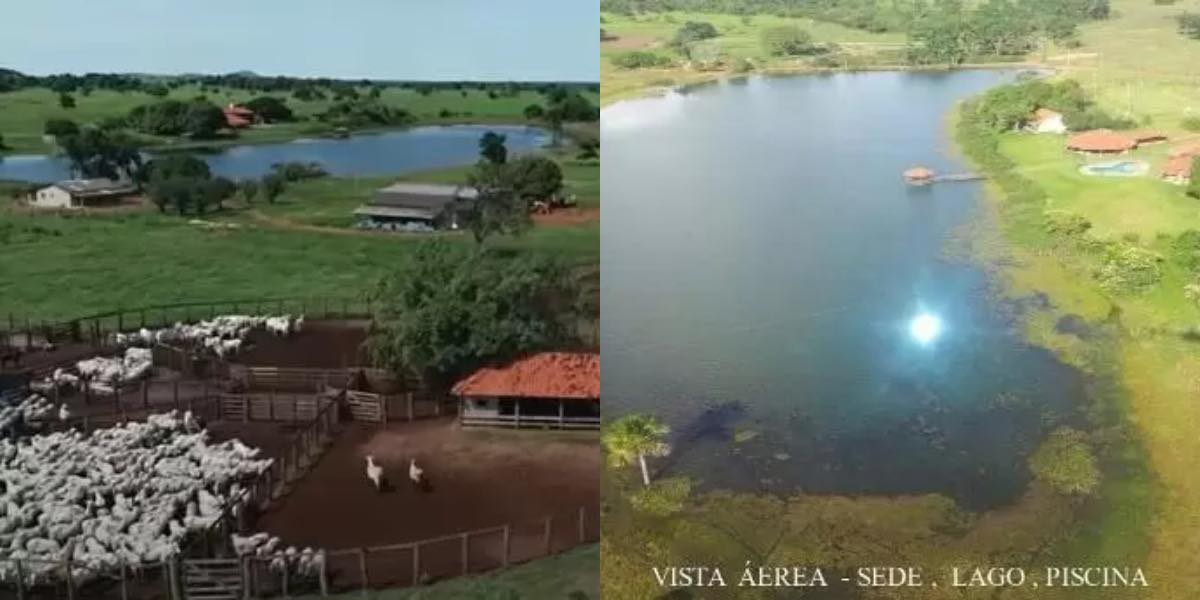 Fazenda luxuosa que era de Amado Batista tem 20 mil bois - Foto Reprodução Internet