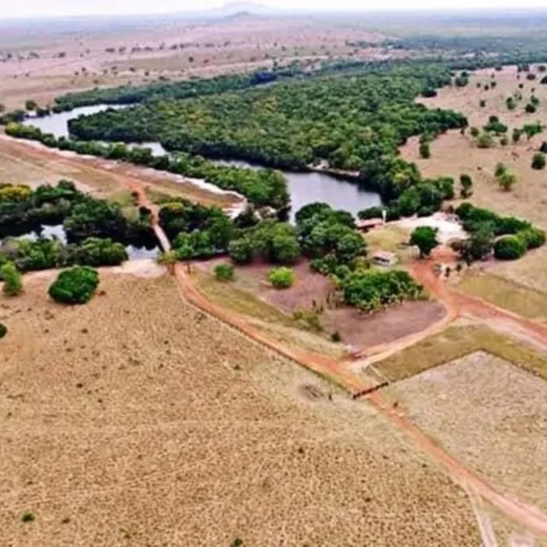 Fazenda que era de Amado Batista foi vendida por R$ 350 milhões - Foto Reprodução Internet