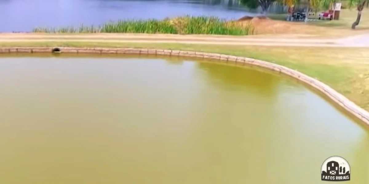 Lago da fazenda de Chitãozinho - Foto Reprodução Youtube
