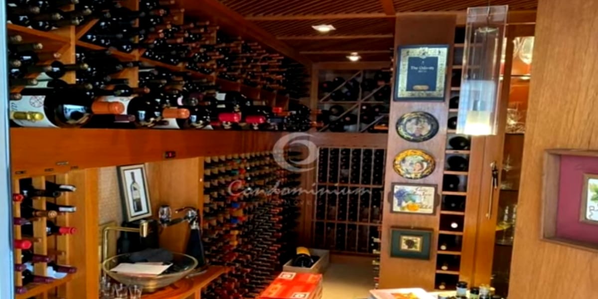 Adega enorme onde Zé Neto guarda centenas de vinhos (Reprodução: Youtube)