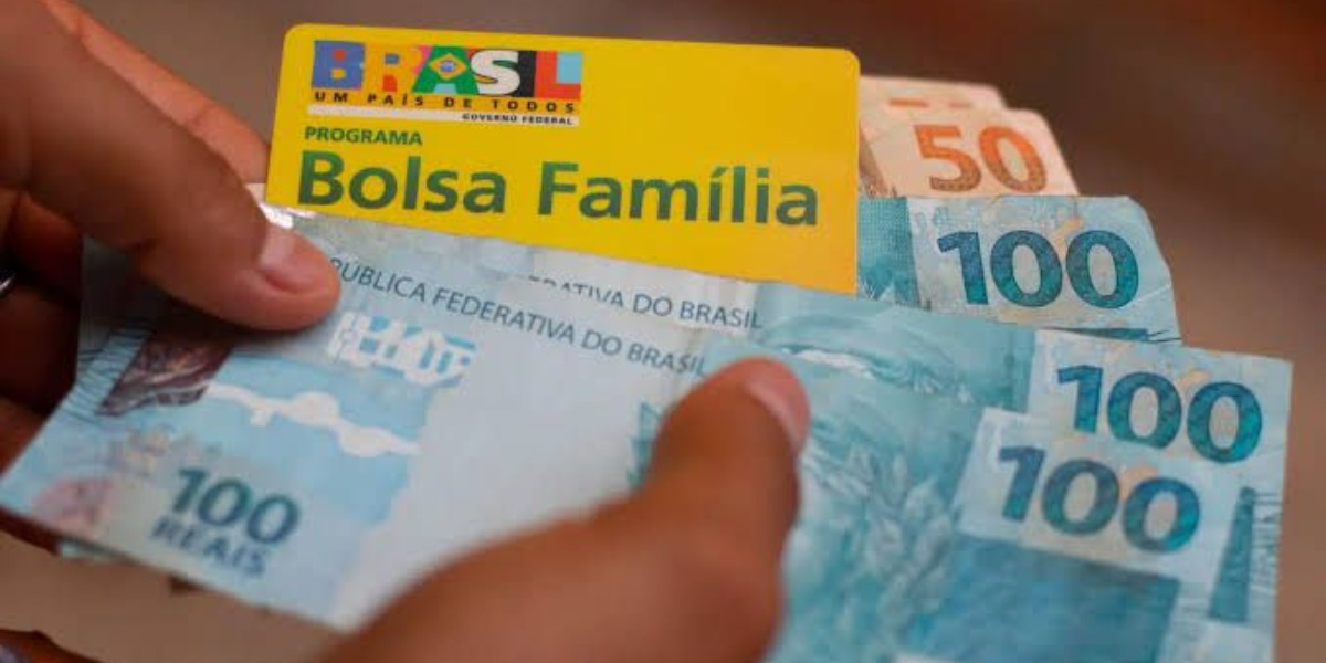 Consignado do Bolsa Família (Foto:Reprodução/Consulta Pública)