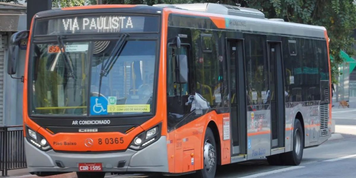 Ônibus (Foto: Reprodução / Internet)