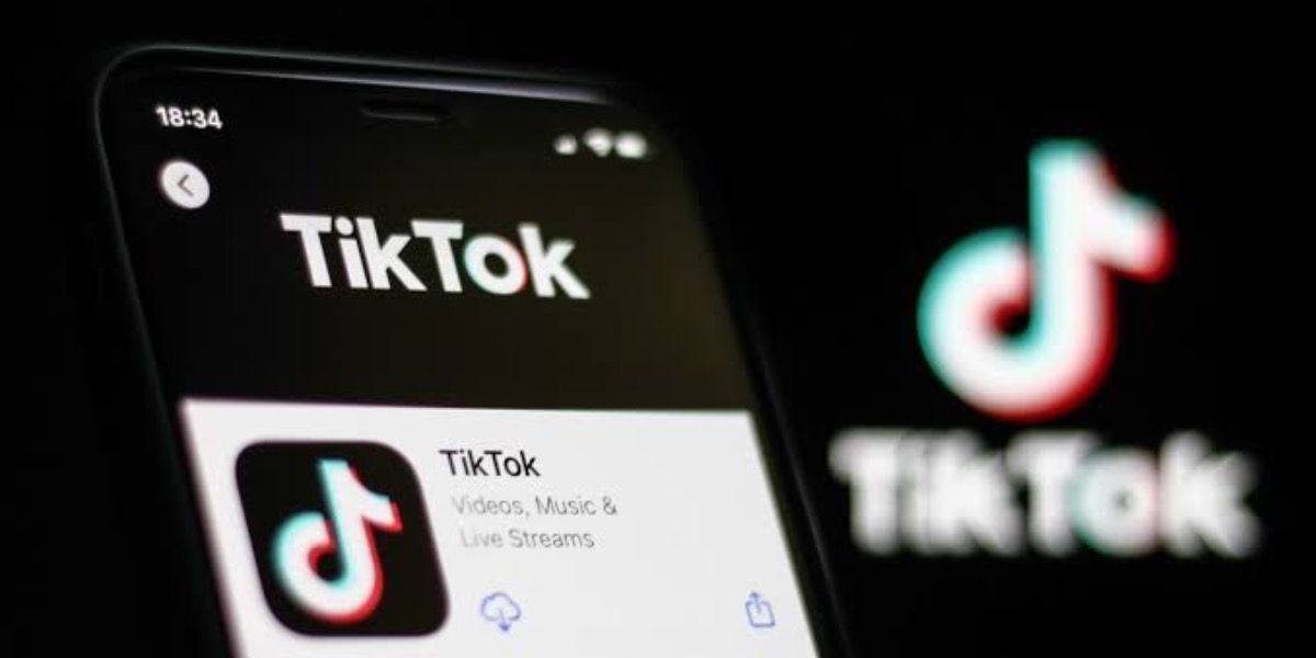 TikTok é proibido para milhares de pessoas (Foto:Reprodução/Exame)