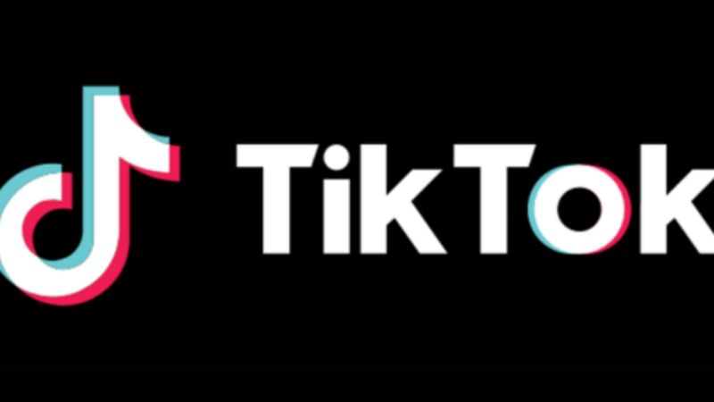 Duda Rubert atinge marca de 5 milhões de seguidores no TikTok - Gfama