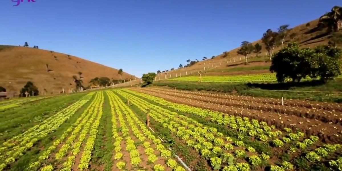 Hortas da Fazenda absurda de Marcos Palmeira, de 200 hectares, em Teresópolis, Rio de Janeiro - Foto Reprodução Internet