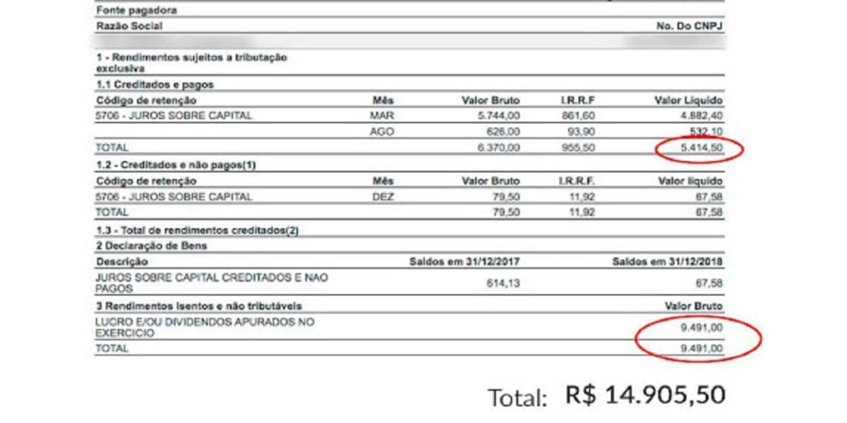  Valores recebidos por investidores em dividendos (Foto: Reprodução/Internet)