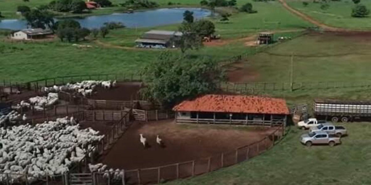 Fazenda de Amado Batista (Foto:Reprodução/Compre Rural)