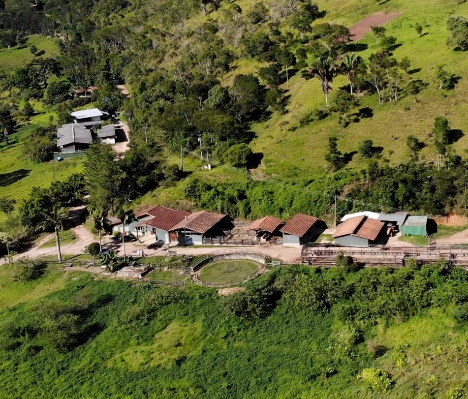 Enorme fazenda de Marcos Palmeira (Reprodução: Youtube)