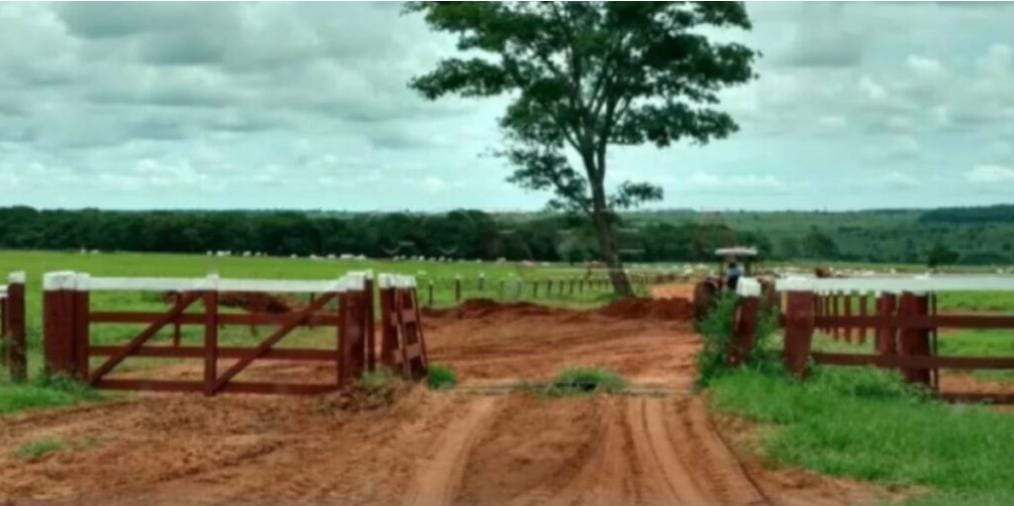 Local onde Marrone cuida das suas mais de 20 mil cabeças de gado (Reprodução: Youtube)