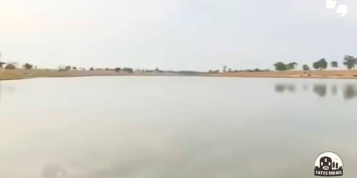 Lago particular gigante onde o cantor faz pescas esportivas (Reprodução: Youtube)