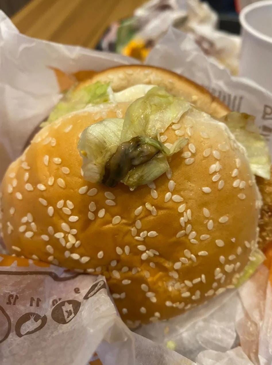 Lesma encontrada em um dos lanches do Burger King (Foto: Walif Silva)