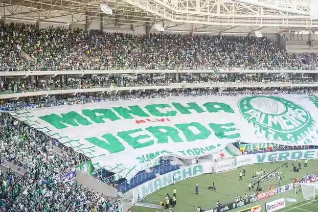 Torcida organizada do Palmeiras. Foto: Reprodução/Internet