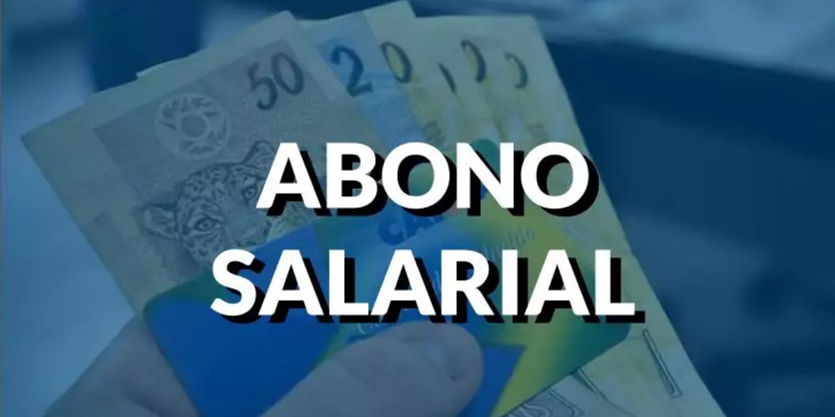 Excelente notícia para quem é MEI Abono salarial de R$ 1320 cai como uma bomba e surpreende empreendedores - Foto Reprodução Internet