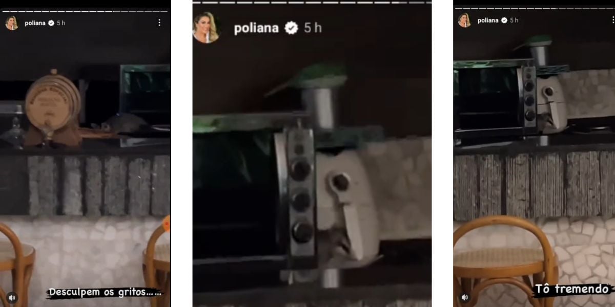 Poliana Rocha mostra gambá em sua mansão (Foto: Reprodução / Instagram)