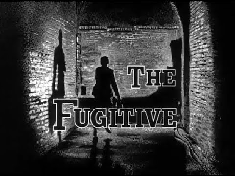 The Fugitive movie (Photo: Reproduction/Internet)