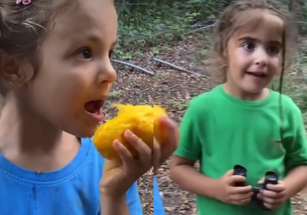 filhas gêmeas de Ivete Sangalo, Marina e Helena, de cinco anos passeando na floresta - Foto Reprodução Internet