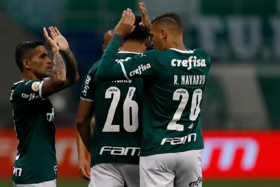 Palmeiras em campo pelo campeonato Brasileiro (Foto: Reprodução/ Internet)