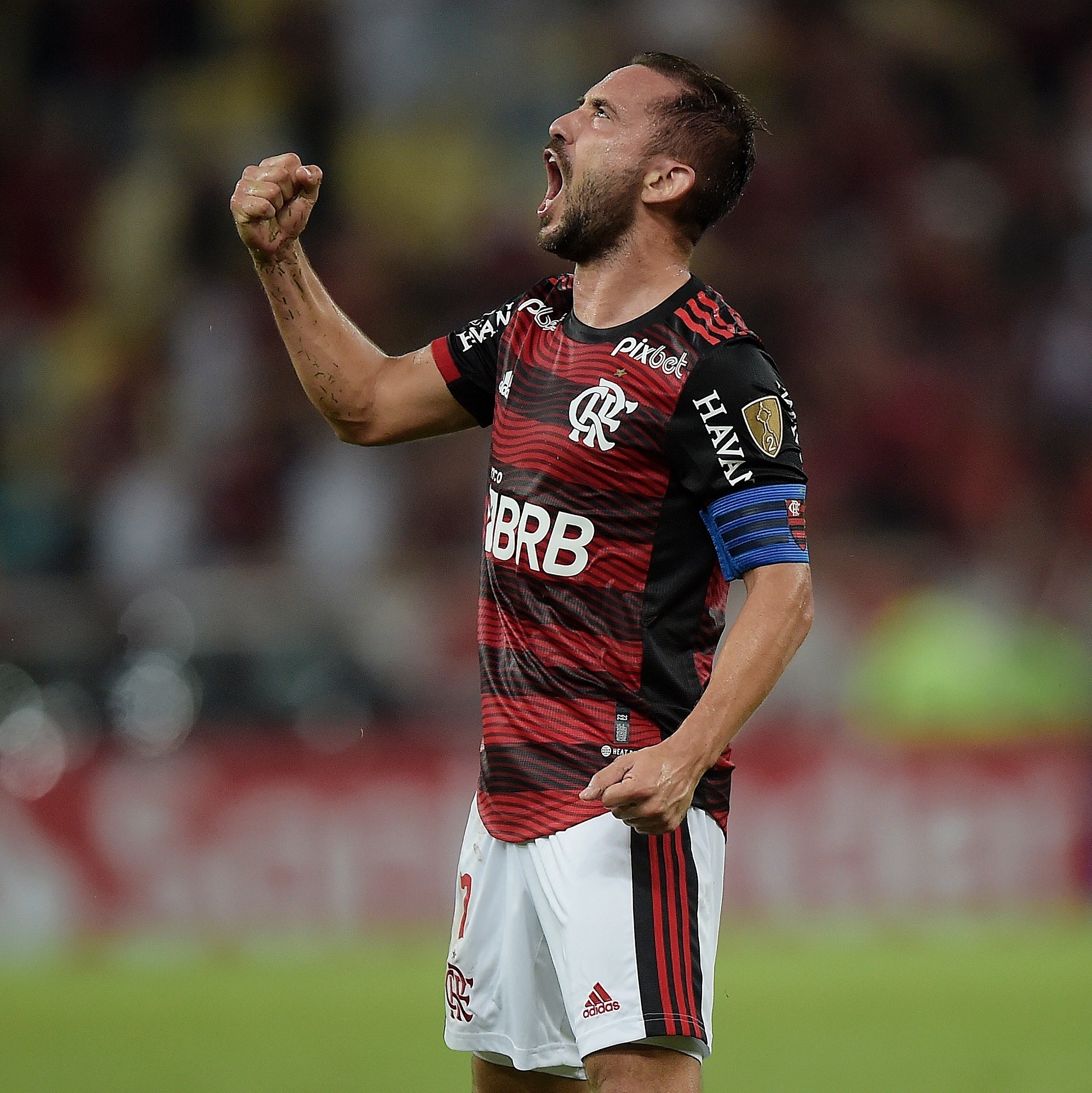 Everton Ribeiro no Flamengo (Reprodução - Internet)