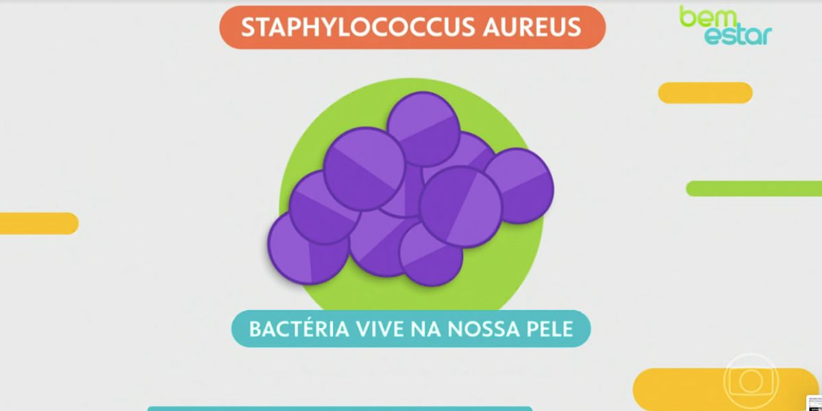 Staphylococcus aureus (Foto: Encontro da Globo) 
