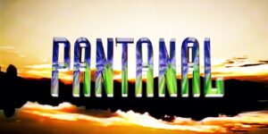 Ator sucesso de Pantanal morreu logo após a novela (Imagem Reprodução Internet)