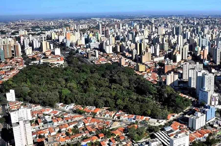 Cidade de Campinas (Foto: Reprodução/ Internet)