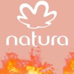 Logo da natura pegando fogo - Foto Reprodução Internet