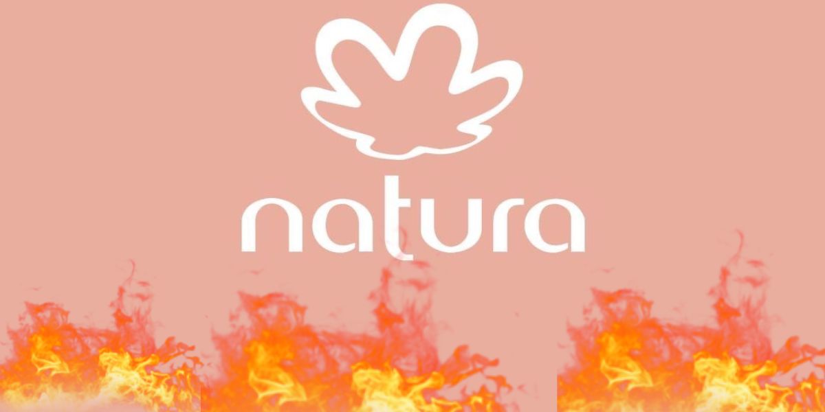 Logo da natura pegando fogo - Foto Reprodução Internet