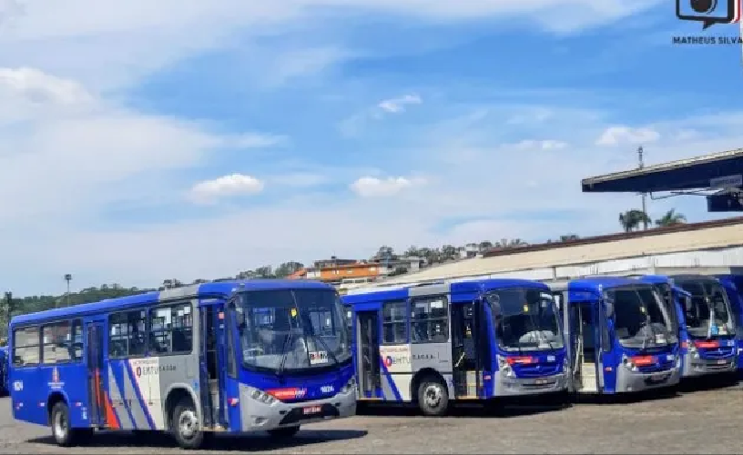 Ônibus do Grupo Baltazar (Foto: Reprodução/ Internet)