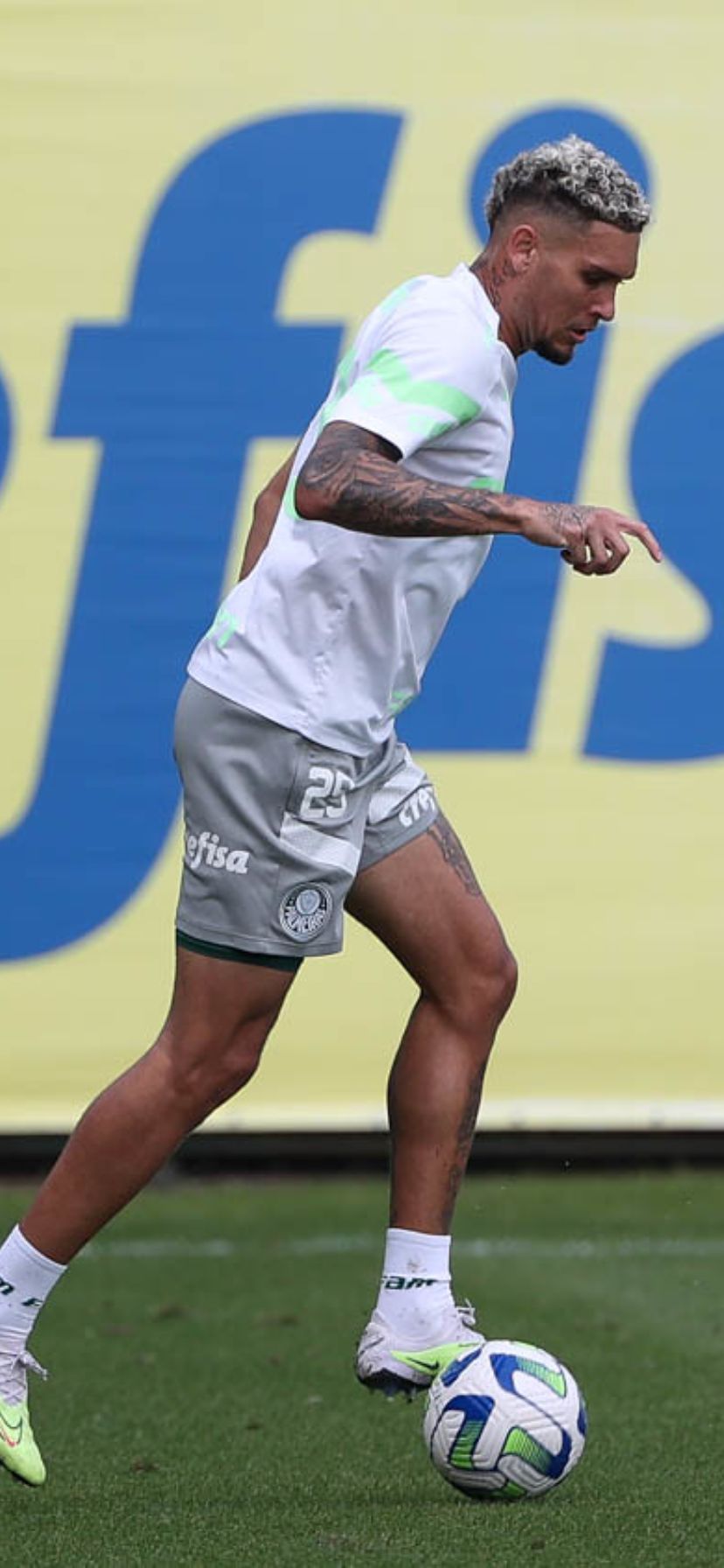 R$ 7,2 milhões, vai jogar na MLS: Leila Pereira prepara a papelada e VENDE  atacante do Palmeiras para o Orlando City - Bolavip Brasil