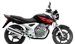 Honda CBX 250 Twister (Foto: Reprodução / Internet)