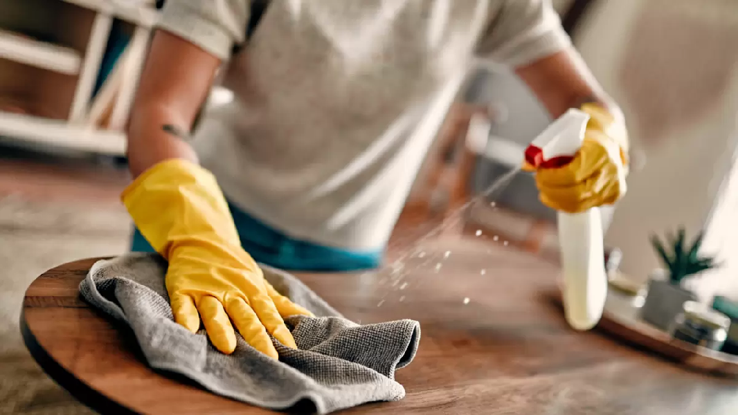 Moça limpando os móveis com produto de limpeza (Foto: Reprodução/ Internet)