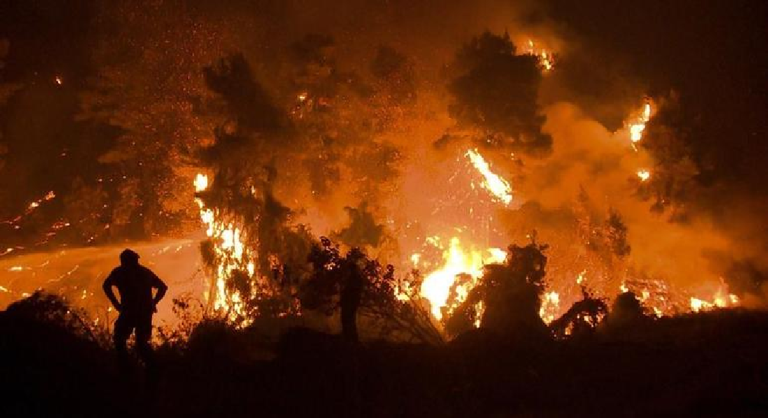 Incêndio na Grécia (Foto: Reprodução/ Internet)