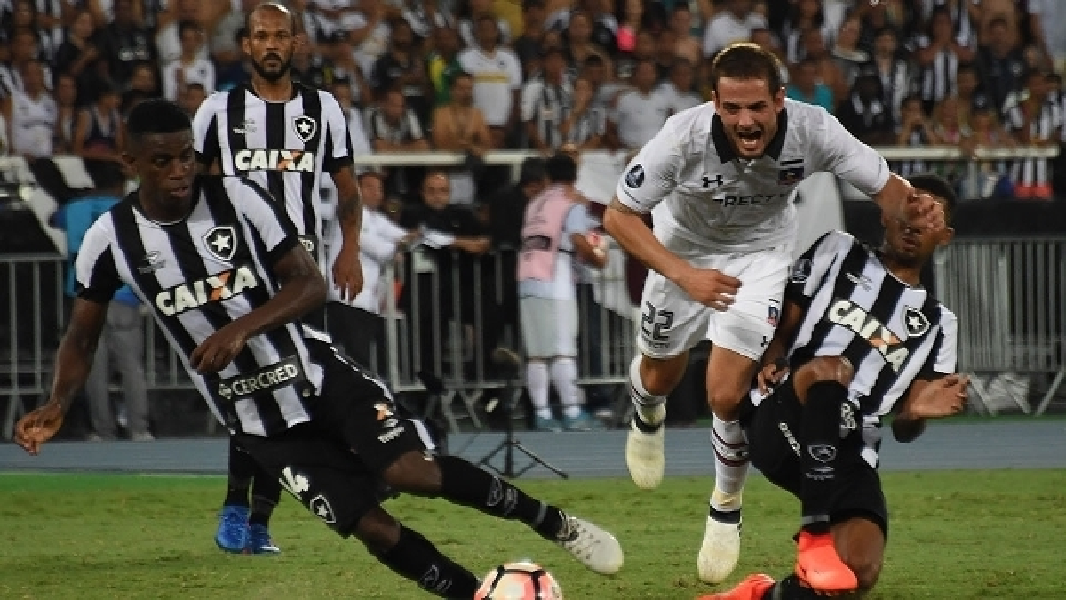 Botafogo em campo (Foto: Reprodução/ Internet)