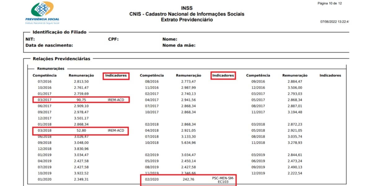 Modelo de CNIS do INSS (Imagem Reprodução Internet)