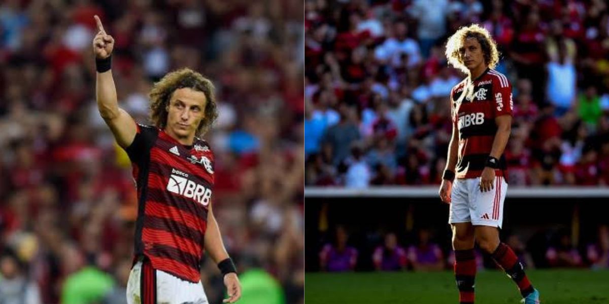 David Luiz, zagueiro do Flamengo (Foto - Montagem TV Foco).