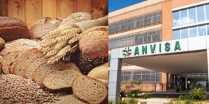 Duas marcas de pães são denunciadas após proibição da ANVISA (Reprodução/Montagem TV Foco)