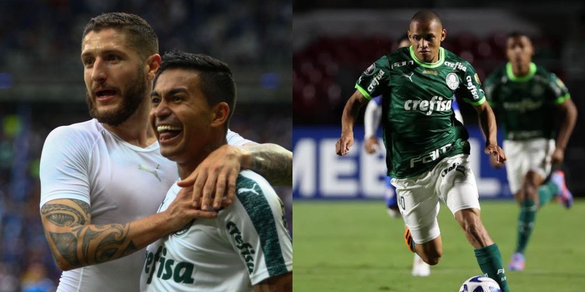 Dudu, Zé Rafael e John John, destaques do Palmeiras (Foto - Montagem TV Foco).