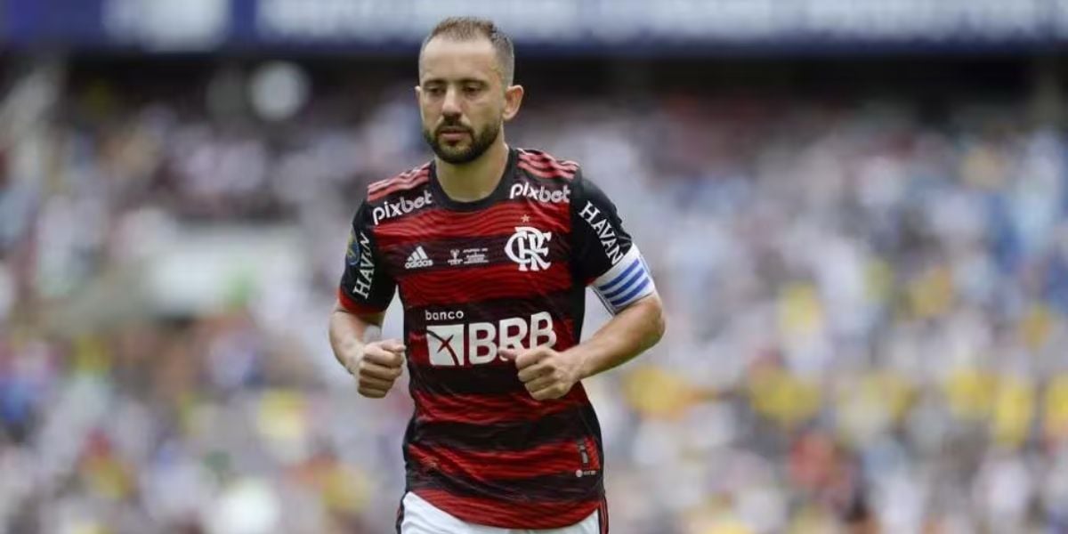 Everton Ribeiro no Flamengo (Reprodução - Internet)