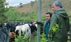 Marcos Palmeira investe há mais de 20 anos na agricultura orgânica - Foto Internet