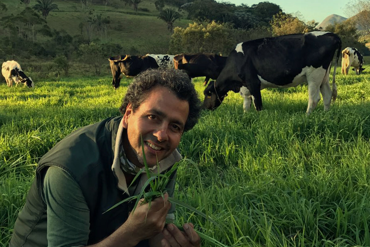 Vale das Palmeiras, orgânicos do ator Marcos Palmeira - Foto Internet