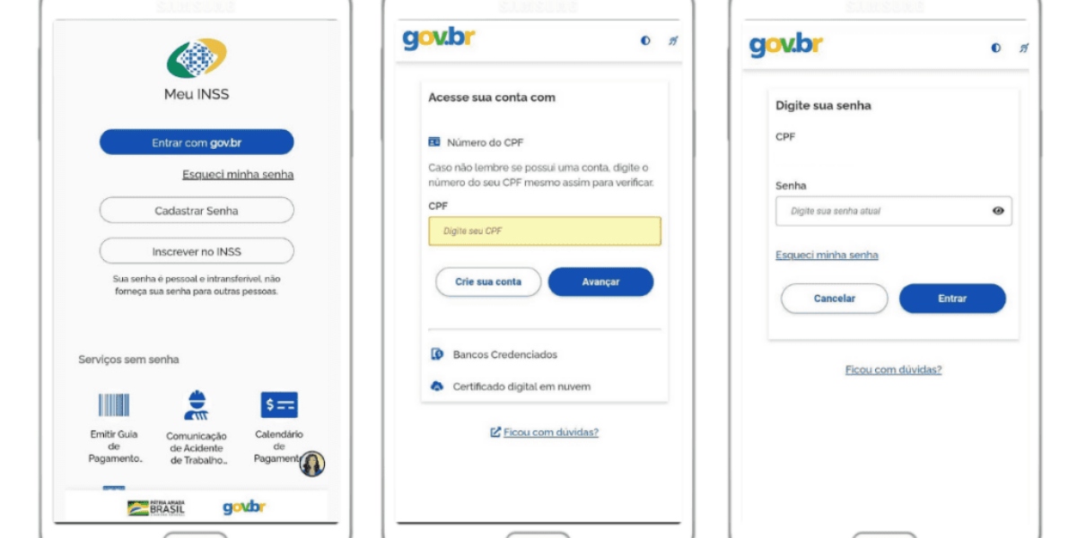App Meu INSS (Foto: Reprodução/Governo Federal)
