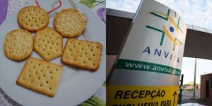 Fábrica de biscoito interditada pela Anvisa (Reprodução: Montagem TV Foco)