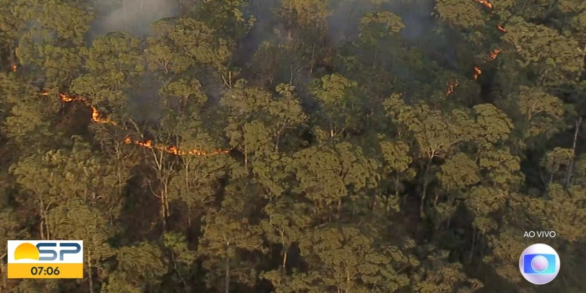 "Bom Dia SP" mostrou incêndio no Parque do Carmo (Foto: Reprodução/TV Globo)