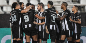 Parte do elenco do Botafogo (Foto: Reprodução: Internet)