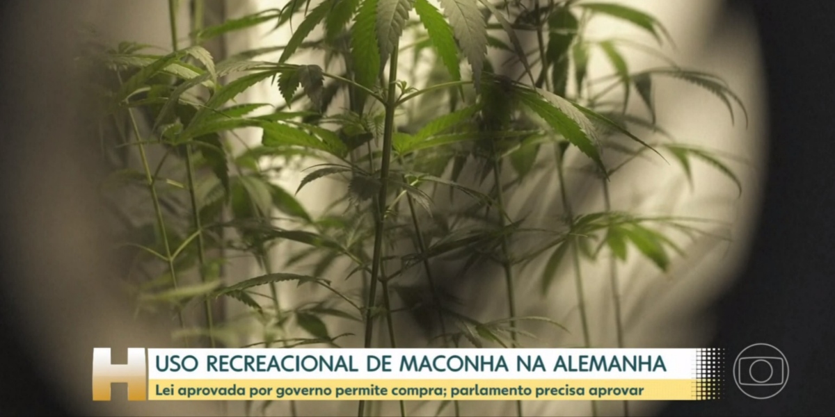 Alemanha aprovou uso recreativo da maconha (Foto: Reprodução/TV Globo)